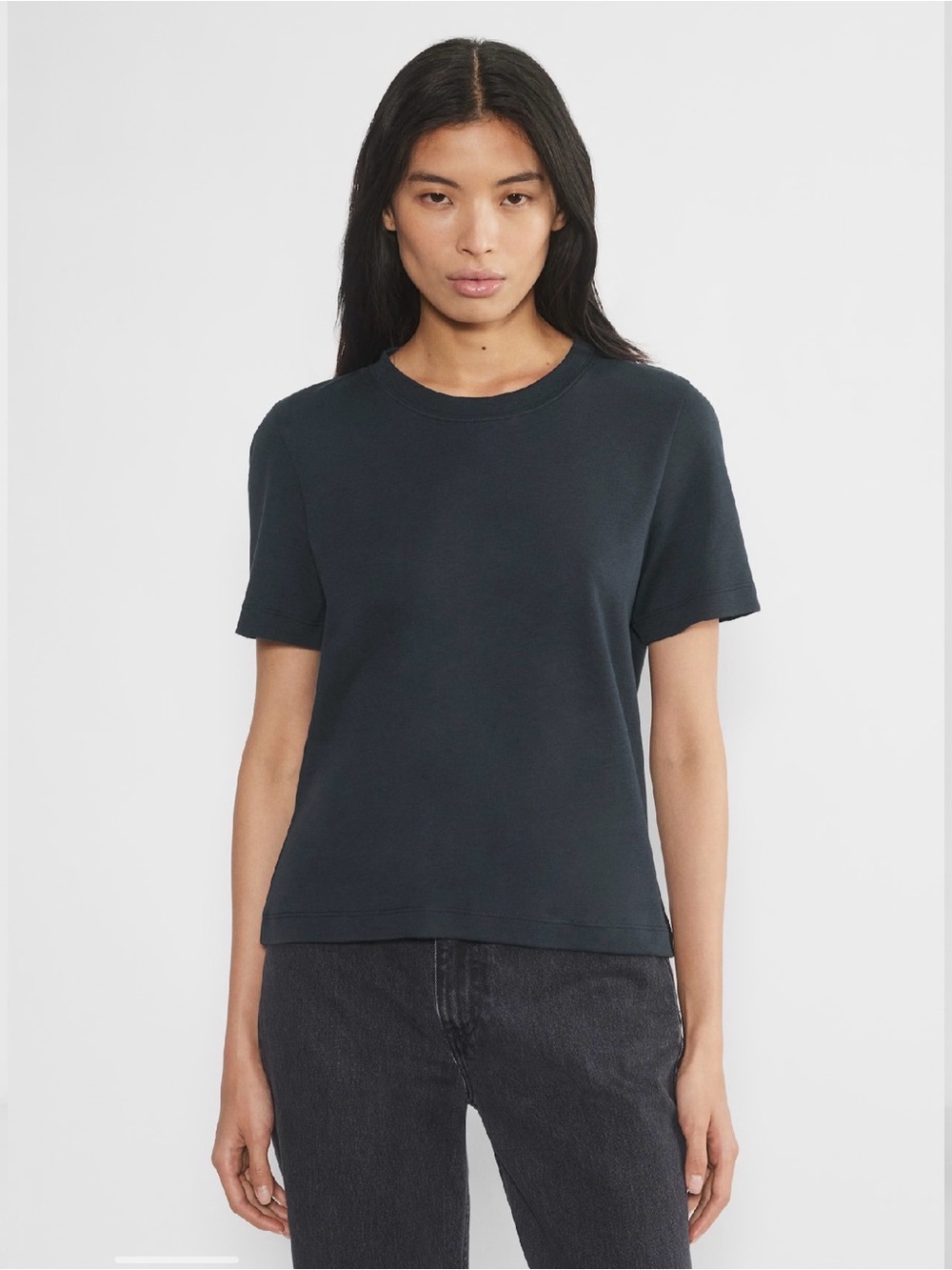 Aritzia Babaton Short Sleeve Crewneck Tee